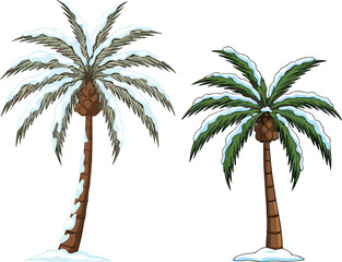 Snow covered palm trees, tropical winter landscape, unusual weather phenomenon, frozen exotic plants, snowy palm trunks, rare climate contrast, cold tropical scenery © Biplob Creatives