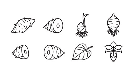 Collection of hand-drawn root vegetables and leafy greens with organic textures vector