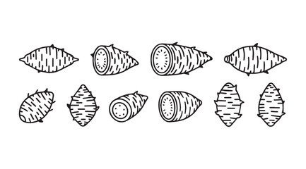 Collection of hand drawn sunchokes root vegetables for healthy cooking and ingredient design vector