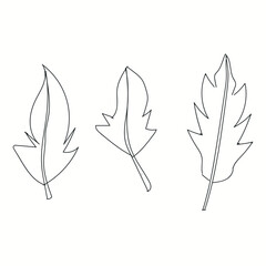 Linear vector feathers collection. Isolated simple quill silhouette on whiteVector