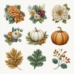 Assorted Floral and Pumpkin Collection Displayed on Clean White Background in Detailed Illustration