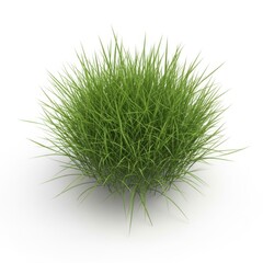 Confident professional woman in modern office with arms crossed standing by large window