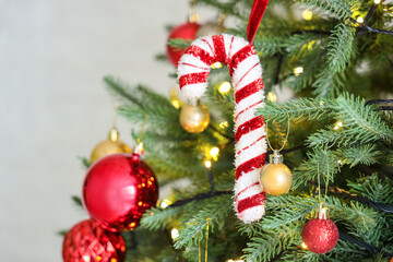 Closeup view of beautiful baubles, candy cane and glowing lights hanging on Christmas tree in festive room