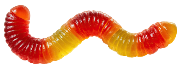 A colorful, long, gelatinous, wiggly sweet treat in red, orange, and yellow hues on a black background