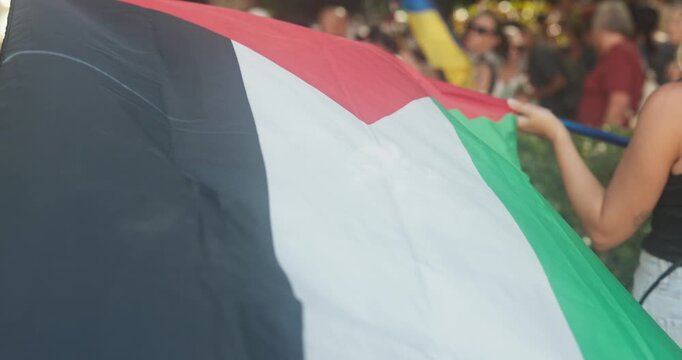 Protester woman holding Palestine flag outdoor with crowd of people demonstrate on city street - Humanity, solidarity and stop genocide concept