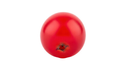Isolated Red Cranberry Fruit Ready to Eat and Use in Recipes for Baking Desserts and Jams