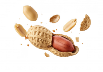 Peanut exploding into pieces isolated on a transparent background