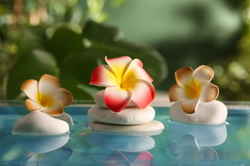 Lake with spa stones and beautiful plumeria flowers in tropical garden