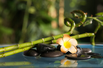 Lake with spa stones, bamboo and beautiful plumeria in tropical garden