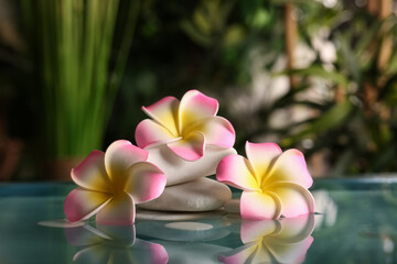 Lake with spa stones and beautiful plumeria flowers in tropical bamboo garden