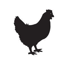 Black hen icon isolated on white background
