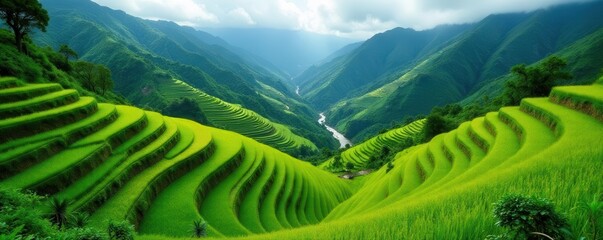 Emerald rice terraces cascading down volcanic slopes, sunrise, island