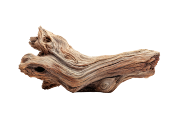 Close-up of a weathered and twisted piece of driftwood, isolated against a pure black background