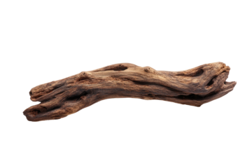 Isolated, weathered driftwood branch with unique texture and holes, against a stark black background
