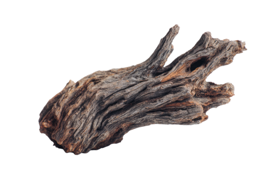 Close-up of a weathered, textured piece of driftwood with intricate patterns against a black background