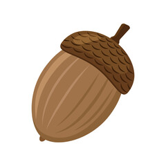Acorn in cartoon style. Color vector illustration. PNG with transparent background.	