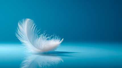 White Feather Floating on a Blue Background