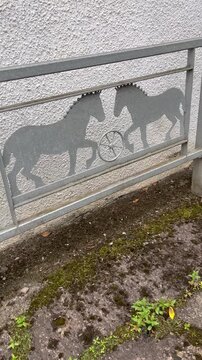 Horses in Pollok Country Park. Scotland. Video