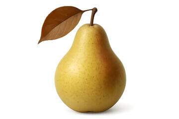 Historic city architecture at sunset with warm light across buildings and distant mountains symbolizing culture and tradition