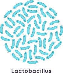 Lactobacillus bacteria microbiology concept illustration