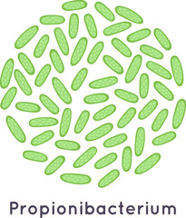 Propionibacterium bacteria colony microbiology science illustration
