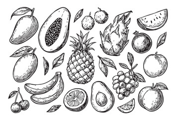 Collection of hand drawn tropical fruits and berries isolated on white background