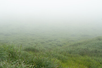 Naklejka premium 霧に包まれる朝の草千里ヶ浜