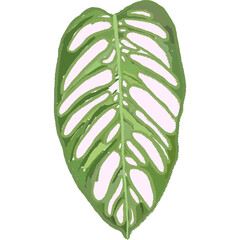 Hand drawing leaf plant illustrations unique 