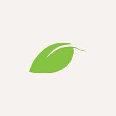 fresh green leaf icon flat logo