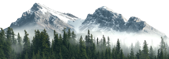 A scenic image of towering, snow-capped mountains with a dense forest in the foreground