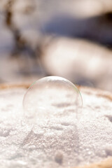 Delicate frozen soap bubble on winter snow surface