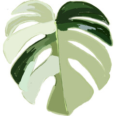 Hand drawing leaf plant illustrations unique 