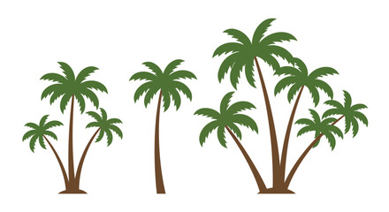 A collection of various sized palm trees against a plain white background