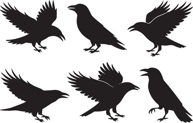 Collection of six black silhouette crows in various poses on white background