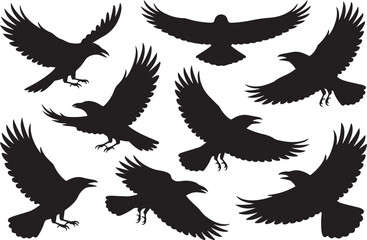 Collection of black bird silhouettes in various flying poses against white background