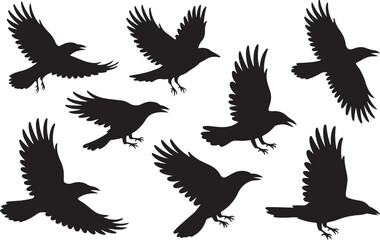Collection of silhouettes of crows in flight against a white background