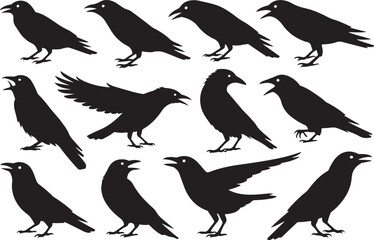 Collection of black silhouette crows in various poses on white background