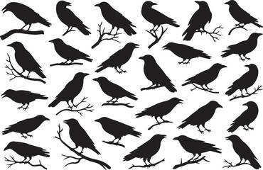 Collection of silhouetted crows and ravens perched on branches and standing