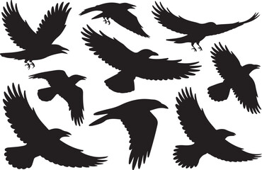 Collection of silhouetted crows and ravens in flight against a white background