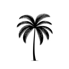 Obraz premium Exotic Palm Tree Vector Design