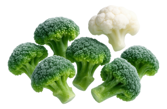 Red currants strung along a thin green stem, displayed on a dark wooden background.
