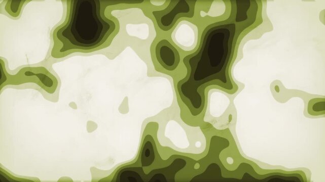 Vintage Military Army Camo Animation/ An abstract army military animation with camouflage patterns in a seamless loop Perfect for many use such as war history lessons, army training videos
