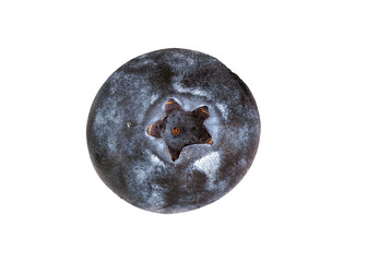 Fresh blueberry close-up showcasing vibrant color and natural texture under bright light conditions