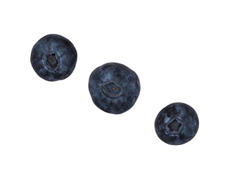 Fresh blueberries arranged in a line set against a white background for a simple and clean look