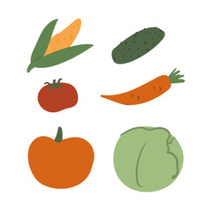 Flat vector illustration of assorted vegetables: red tomato, green cucumber, leafy cabbage, carrot, corn cob. Fresh, healthy produce, crop, edible ingredients, root and salad vegetables, farm harvest.