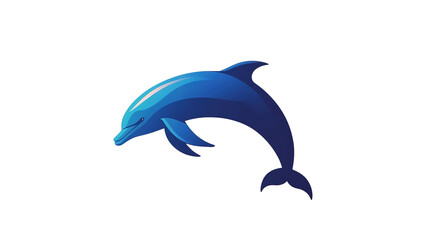 transparent background dolphin