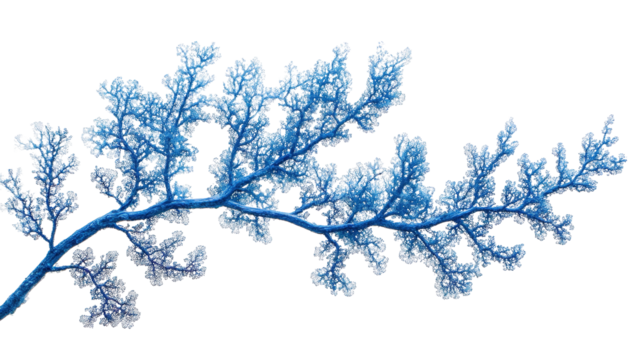 coral background transparent - Powered by Adobe