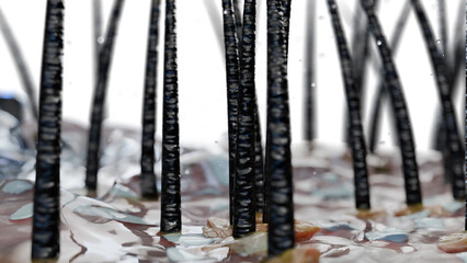 Treatment against Dandruff, Serum nourish, Dermatitis occur, oily hair care. Anti-dandruff, shampoo removes dandruff on hair and scalp, restoring damaged hair and skin, beauty concept, 3d render