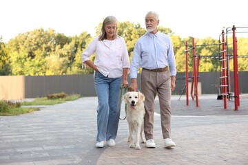 Senior couple walking with adorable Golden Retriever dog outdoors
