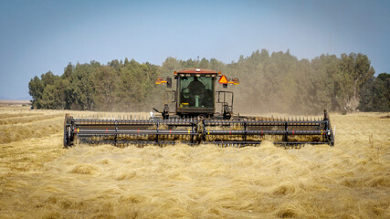 Fototapeta premium Farming equipment harvesting